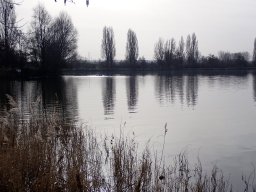 Apnée La Frette 25-02-2021